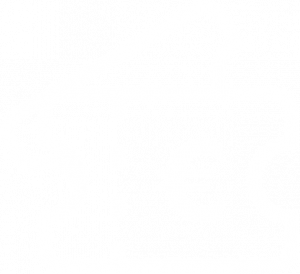 fringe benefits (up to 50 Euro monthly)